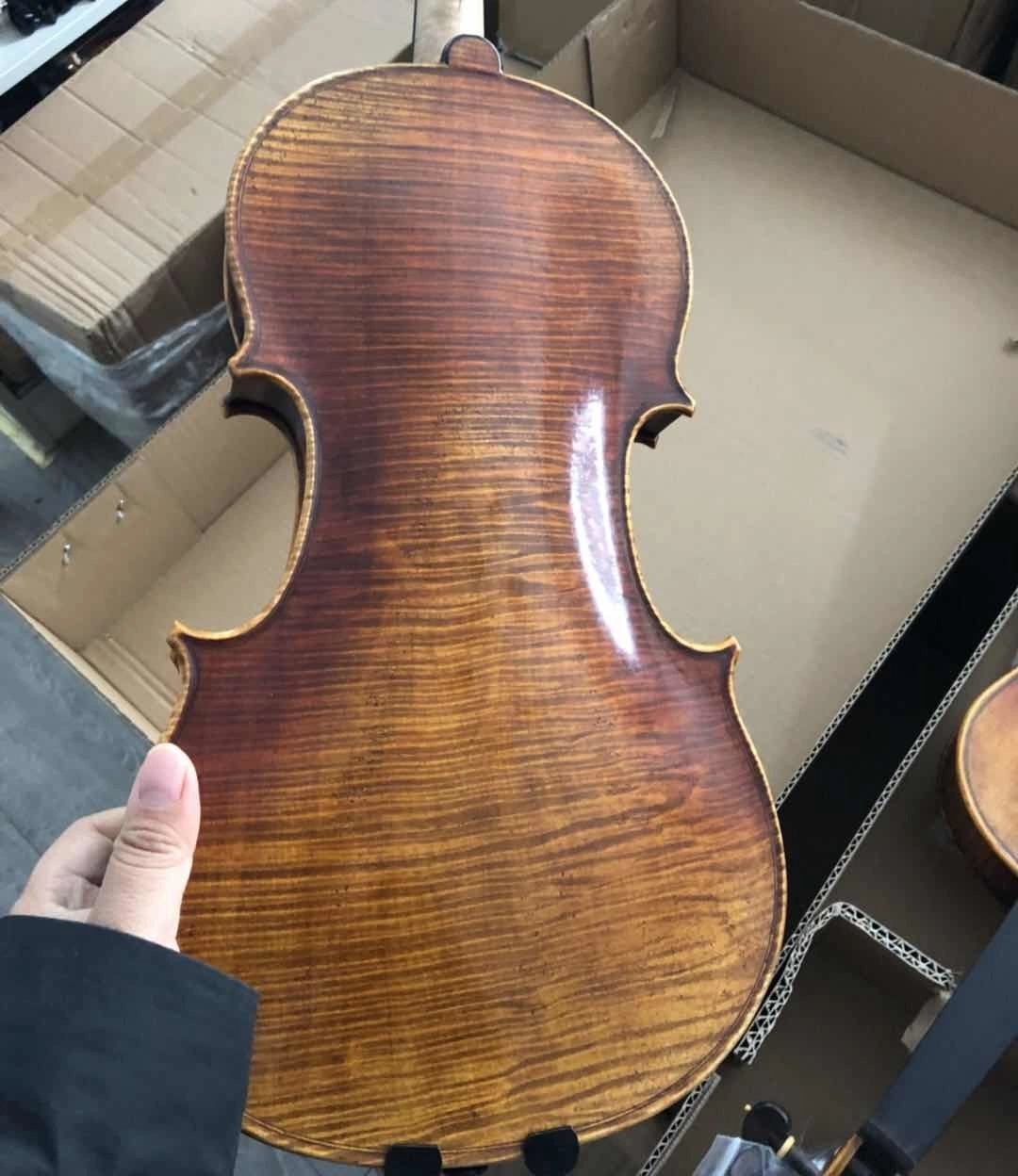 One Piece Back Hand Made High Master Violin (AVA300S)