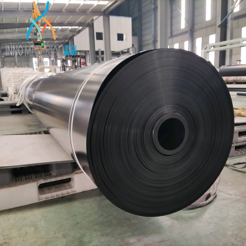 Puncture Resistance Environmental Project Woven Geotextile or Customized Geomembrane Price HDPE Pond Liner