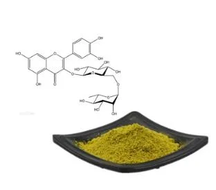 Natural and High quality/High cost performance Extract Rutin 95%