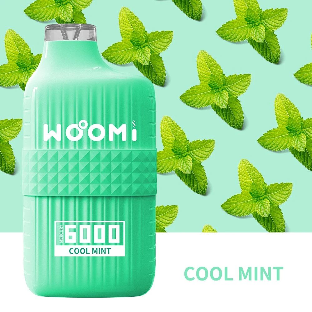 Hot Selling USA Market Wholesale Woomi 6000 Puff Cool Mint Disposable E-Cigarette Rechargeable Vape Box