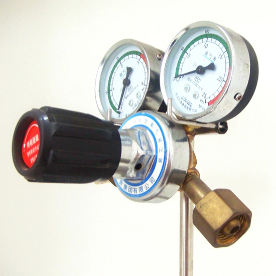 Yqy-08g Oxygen Gas Regulator for Industrial Manufacturing