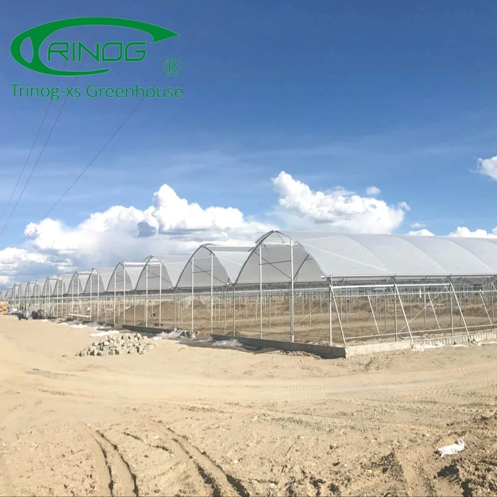 Trinog Greenhouse multi-span PO film greenhouse plastic product for farm