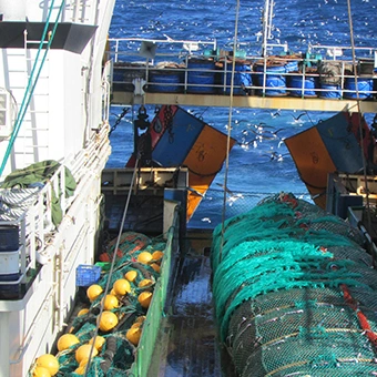 Filets de pêche personnalisés en mer profonde à mailles simples nouées et sans nœuds en multifilament.