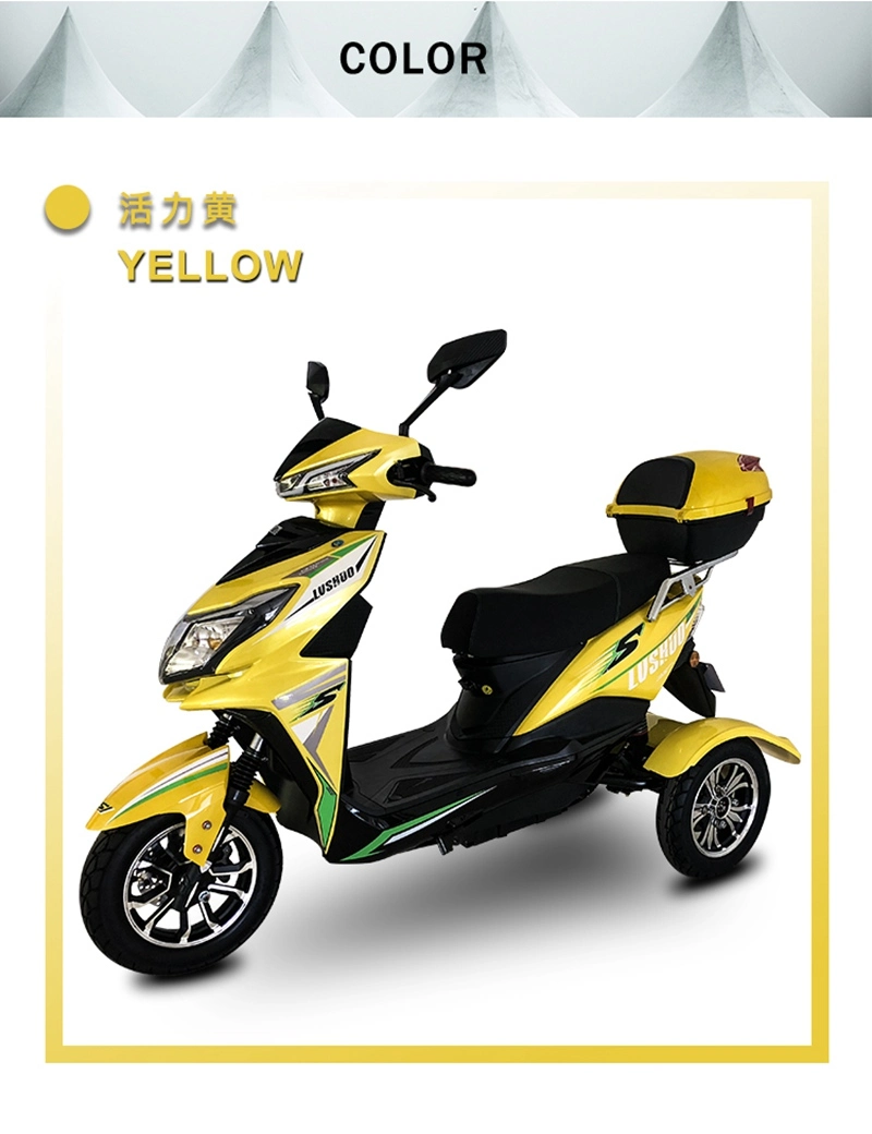 Adults 650W Motorcycle Tricycle Scooter Three Wheels Mobility Bikes