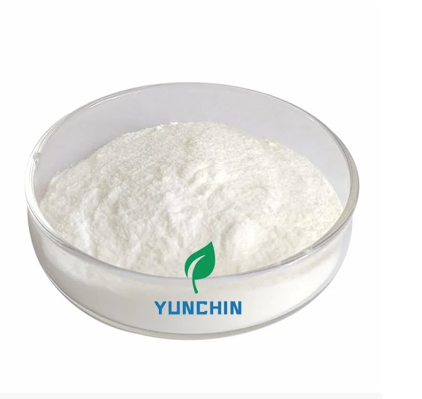 Factory Supply Calcium Carbonate Powder CaCO3 Calcium Carbonate Price