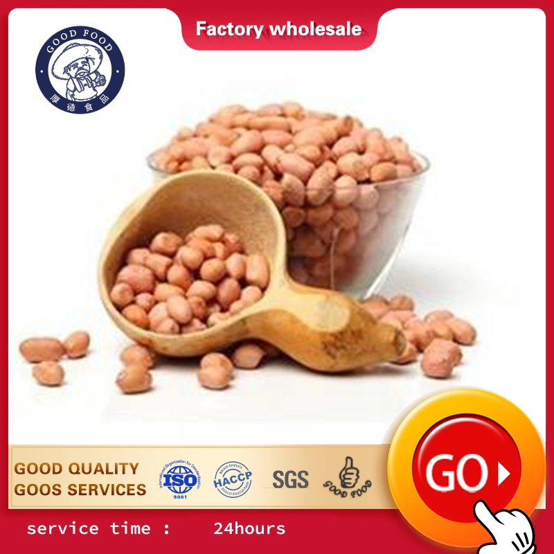 Factory Outlet Store 2020 Crop Peanut Kernels/Peanut Kernels with Red Skin/ Raw Peanuts Kernel