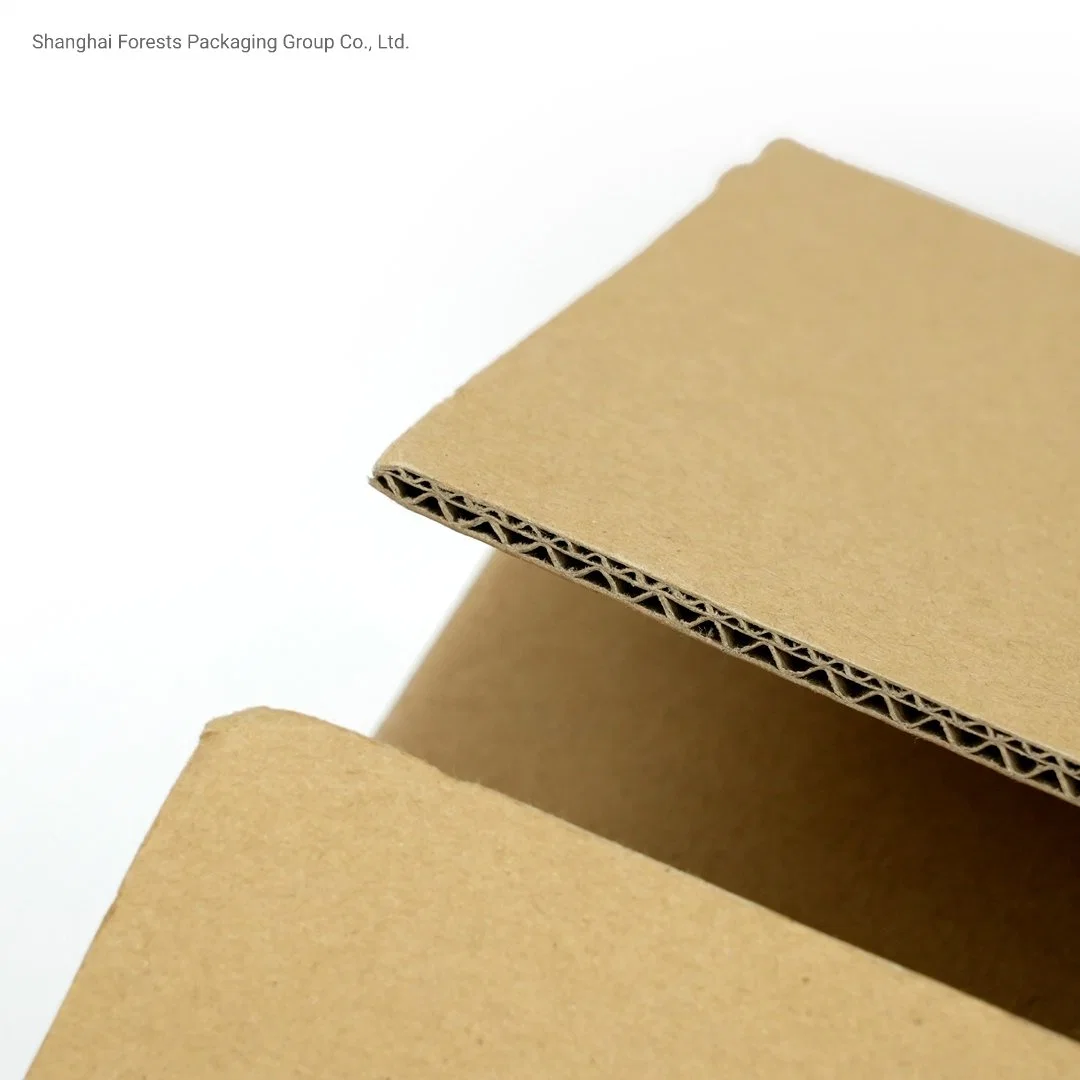 Wholesale/Supplier Corrugated Handle Box Air Holes Shipping Carton Flower Box