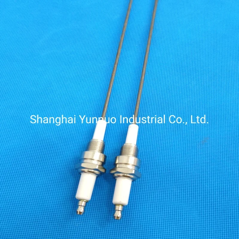 99% 95% Alumina Ceramic Ignition Pin for Gas Burner