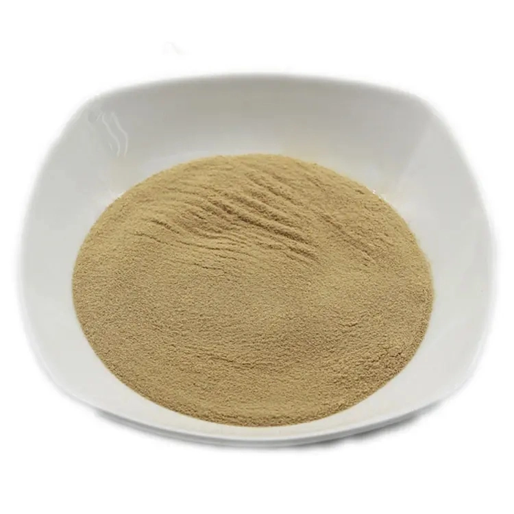 Hot Sale Bacillus Subtilis Probiotics Powder Organic Biological Fertilizer