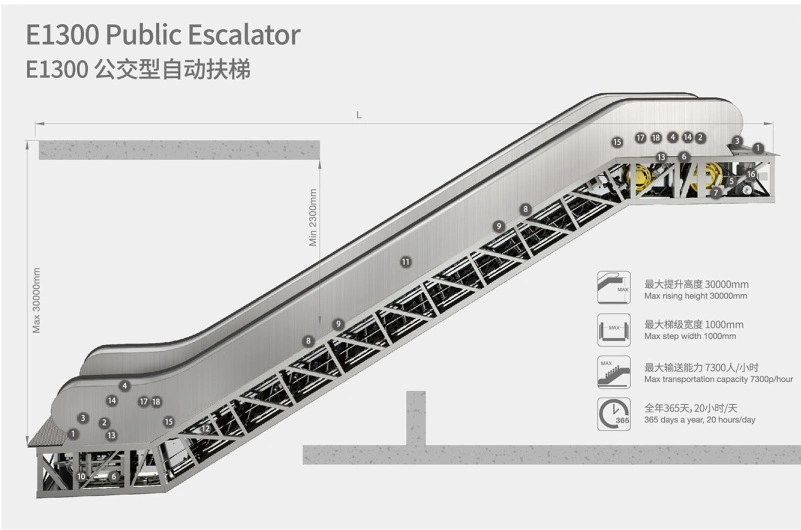 TUV Approved Energy Saving Public Traffic Escalator for Subway