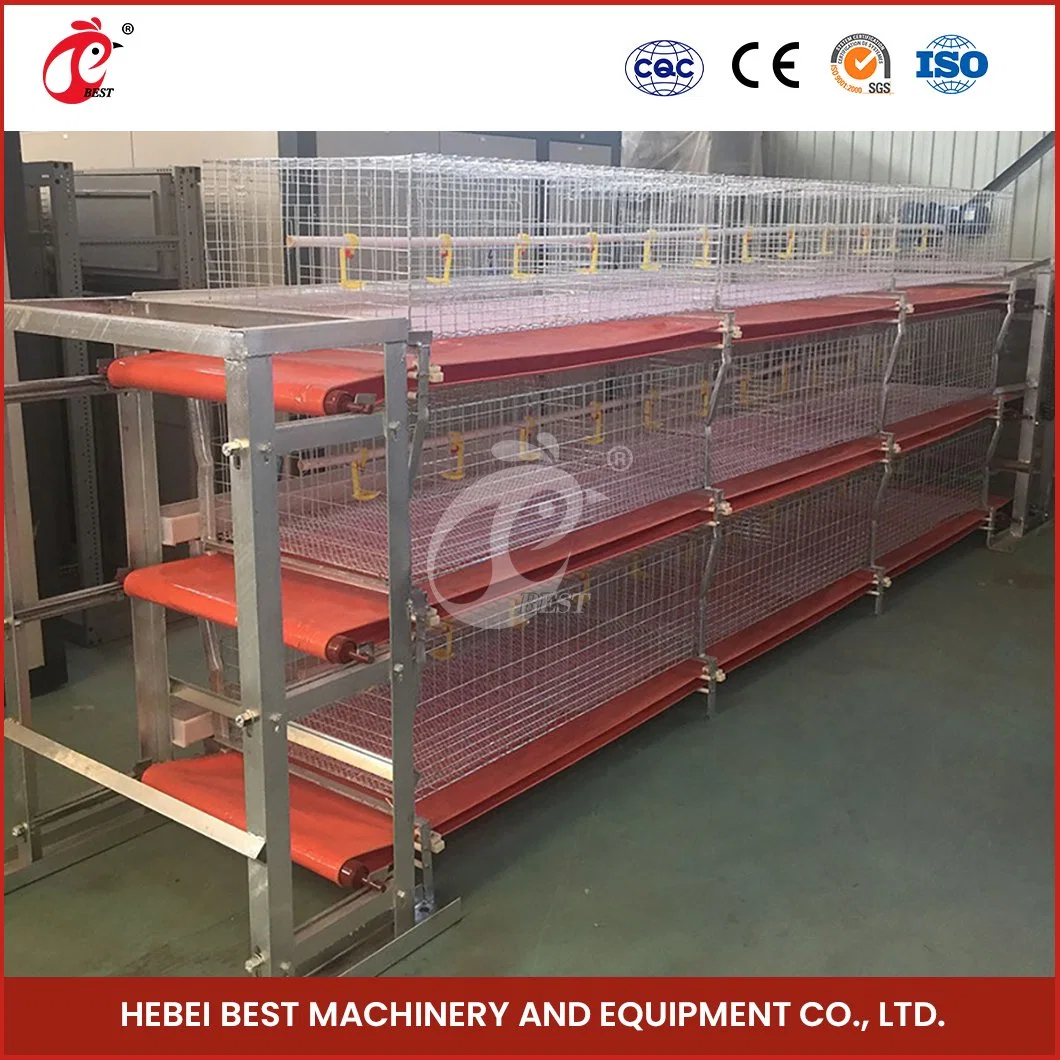 Bestchickencage H Frame Broiler Cages China Chicken Roost Cage Manufacturing Anti-Bacterial Spread Design Cage Box Chicken Broiler Crate