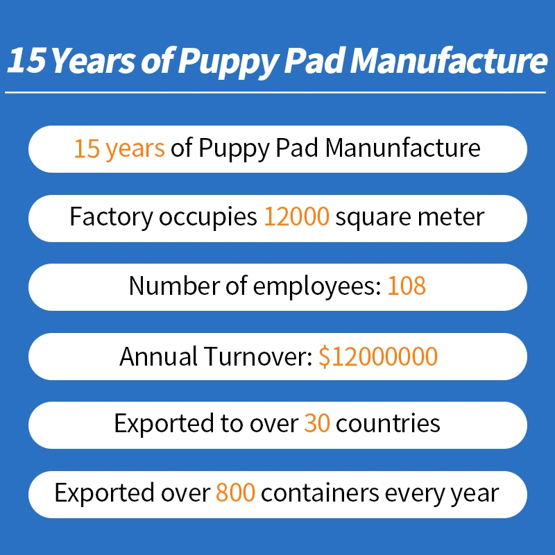 Fabricant OEM jetables de contrôle de l'odeur chiot de chien de formation plaquettes pipi