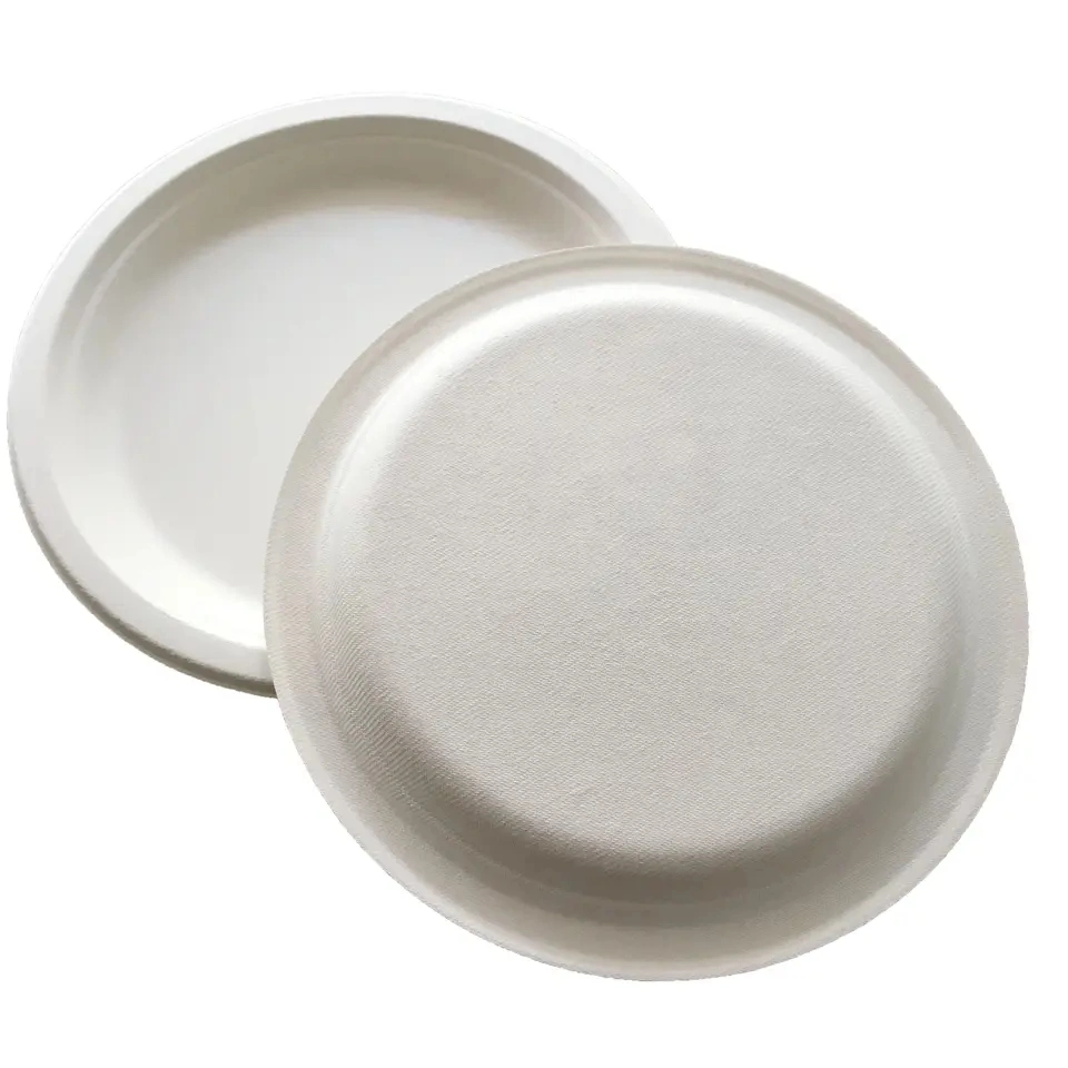 100% Degradable Disposable Bagasse Plate Sugarcane Tray for Food Packaging