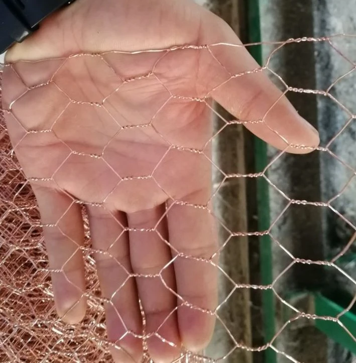 Copper Hexagonal Wire Mesh for Rabbit Bird Animal Pet Cages