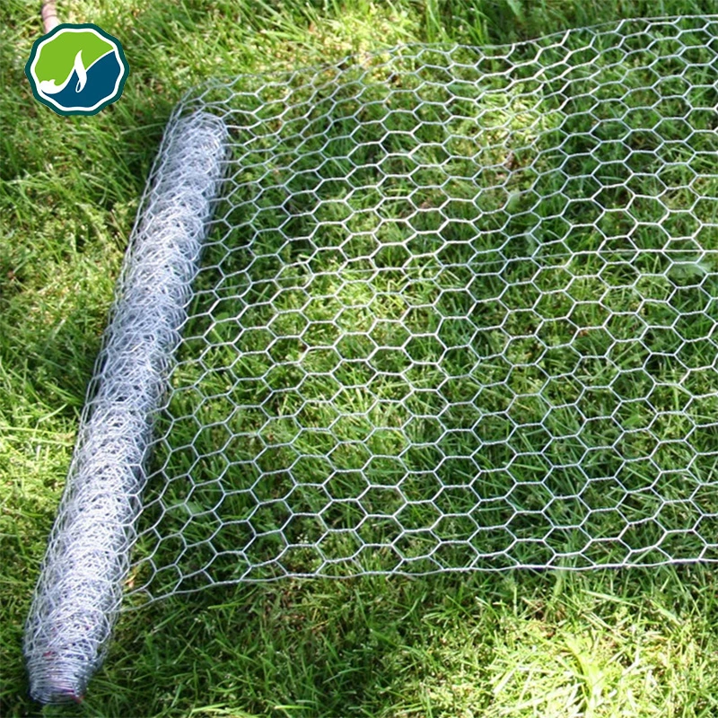 Small Chicken Fencing Wire Mesh Screen Roll Garden Mesh Roll Wire Netting