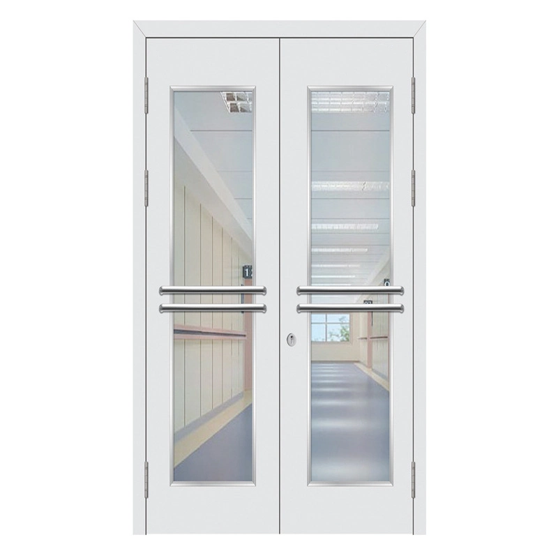 Fireproof Large Glass Panel Metal Doors Tempered Glass Steel Doors for Hospital, School, Lab