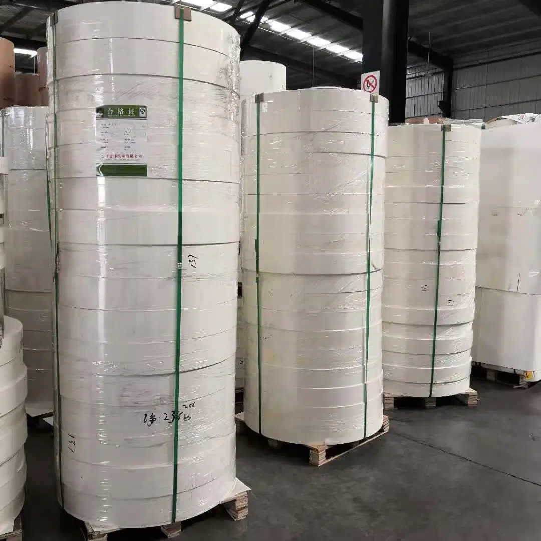 Wholesale Paper Cup PE Coated Paper Bottom Roll for Single/Double PE Coated Paper