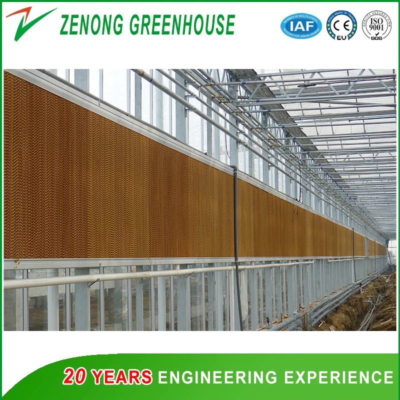 Professional Greenhouse Wet Curtain for Lower The Temperature in The Greenhouse/Poultry Farm