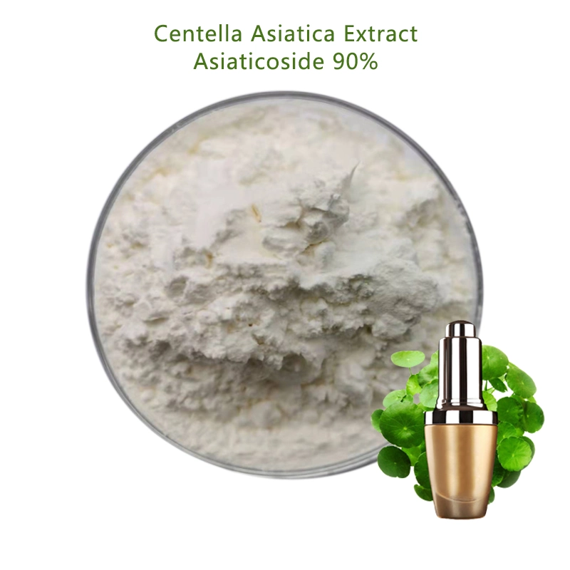 Factory Supply HPLC Asiaticoside Gotu Kola Extract Powder Centella Asiatica Extract