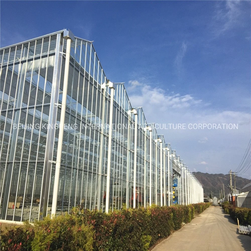 Floated/Tempered 4mm/5mm Glass Greenhouse Projects/Item in China/Over The World