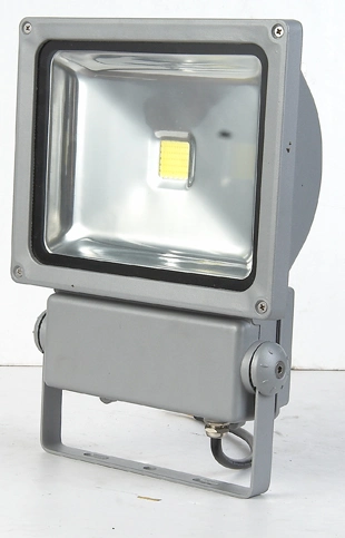 Indoor Flood Light Bulbs Cheap White LED Floodlight (SLFD17 70W-COB)