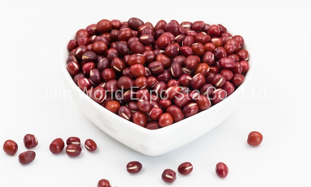 Wholesale/Supplier Dried Red Beans 4.5mm for Food