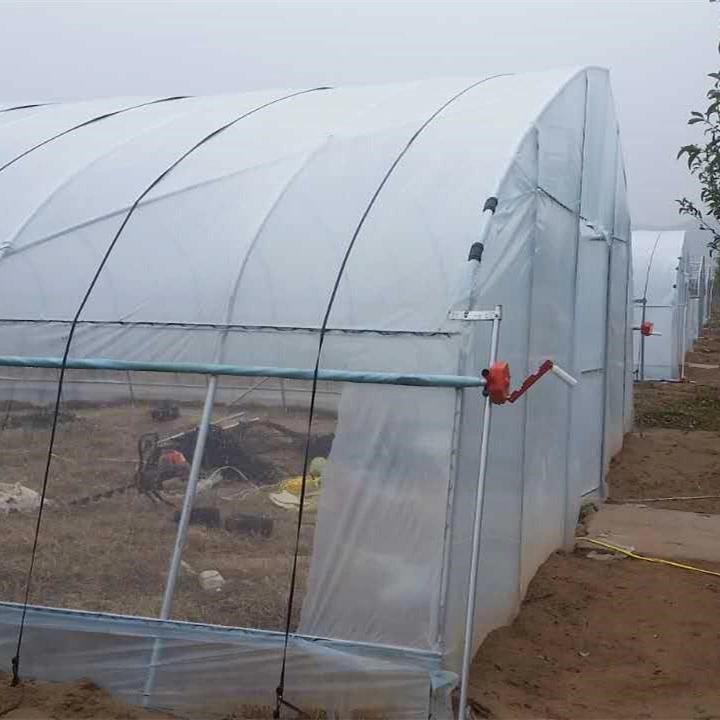La agricultura en pequeña escala/jardín invernadero túnel película para el cultivo de hortalizas/Avicultura