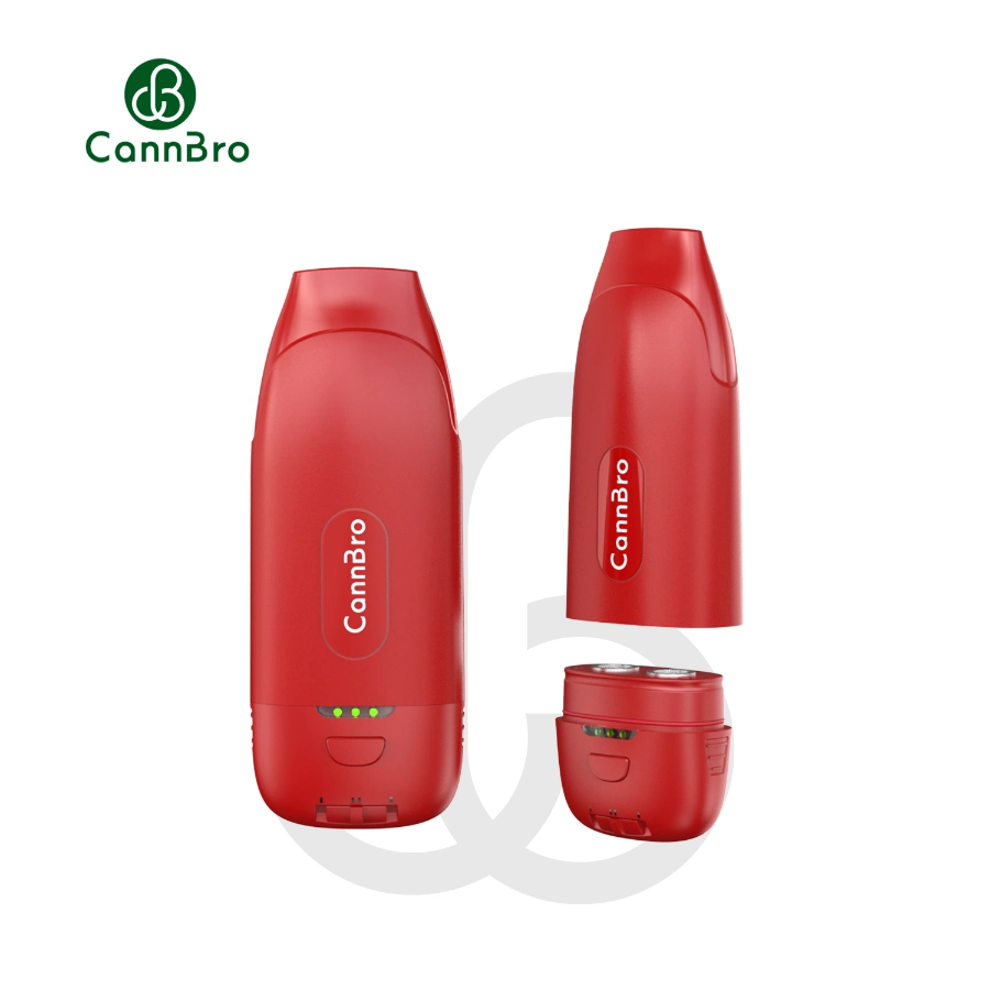 Kit de dois cartuchos para carregamento OEM de alta qualidade por grosso tipo C E o Cabo de pré-aquecimento Tensão de 400 mAh 510 fios Vape de bateria Kit de Mod. De caixa