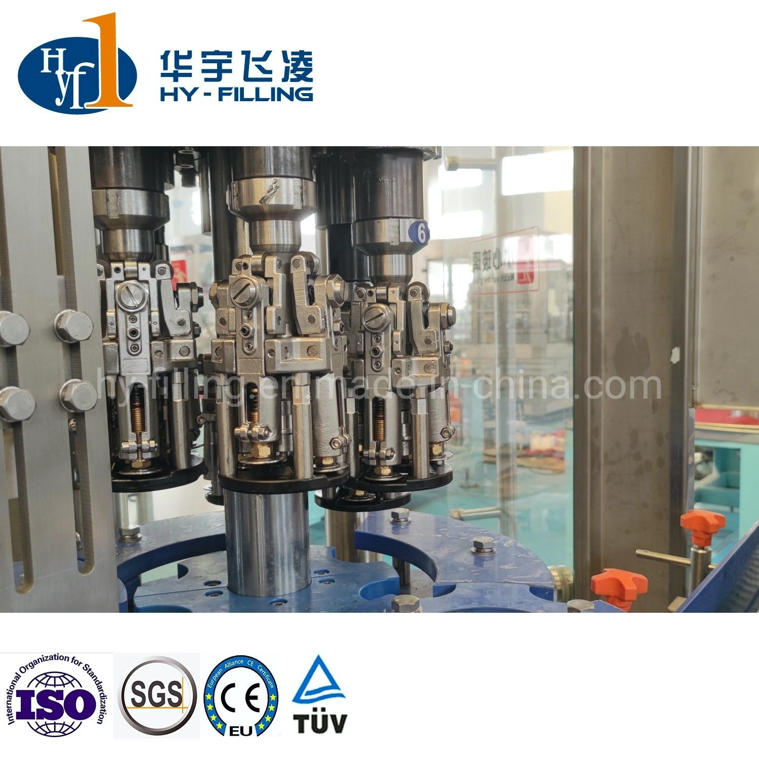 Customized Glass Bottle Risering Filling Capping Packaging Beer/ Water/CSD/Coke Bottling Machine