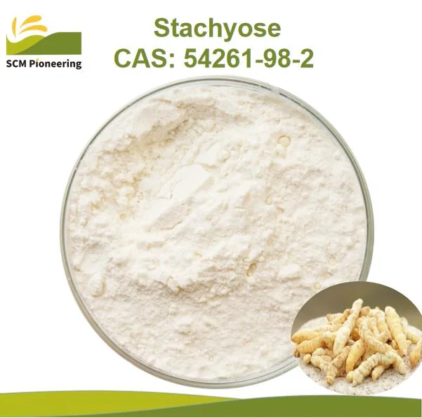 Bulk Sweetener Stachyose Powder CAS 10094-58-3 Stachyose Tetrahydrate Stachyose