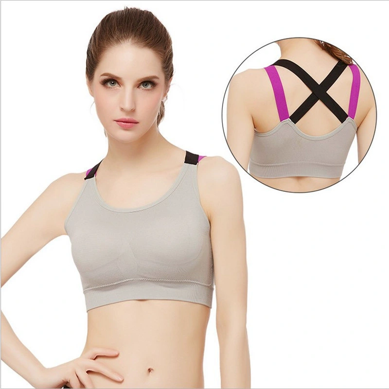 Wholesale/Supplier Gym Clothing Padded Sports Bra