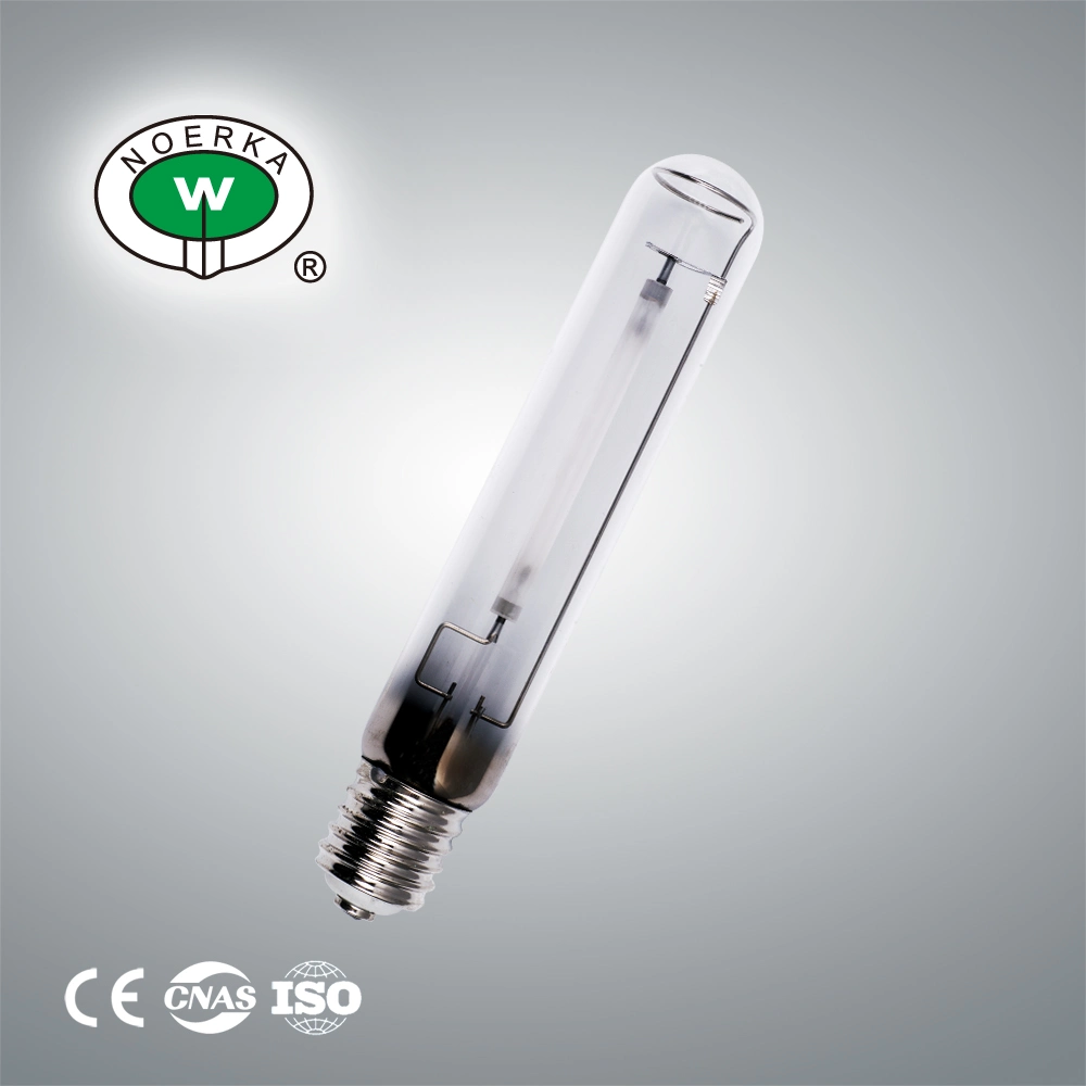 250W 400W Sodium Street Light Fixture (JYR-002) Sodium Lamp