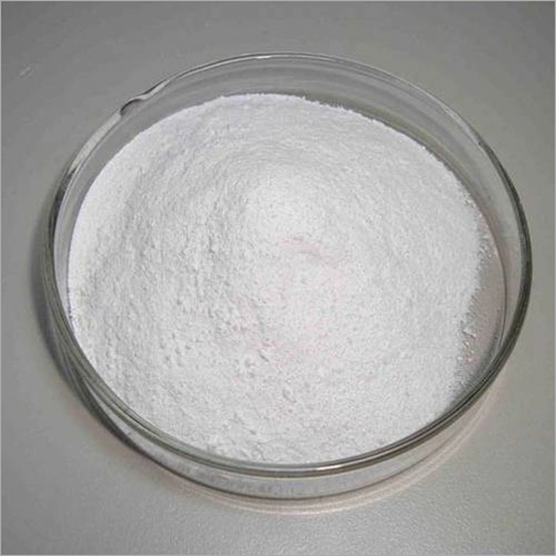 White Crystal Powder Disodium Phosphate (DSP) Food Grade