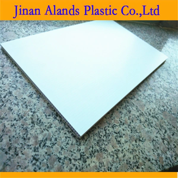 PP Hollow Sheet with Competitive Price