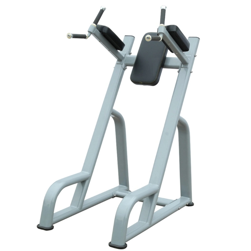 Best Exercise Fitness Equipment Vertical Kness up/DIP for Gym (AXD-8047)