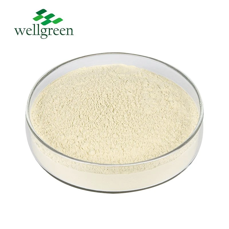 Best Raw Material Fermented Soybean Natto Extract Supplement Nattokinase Powder