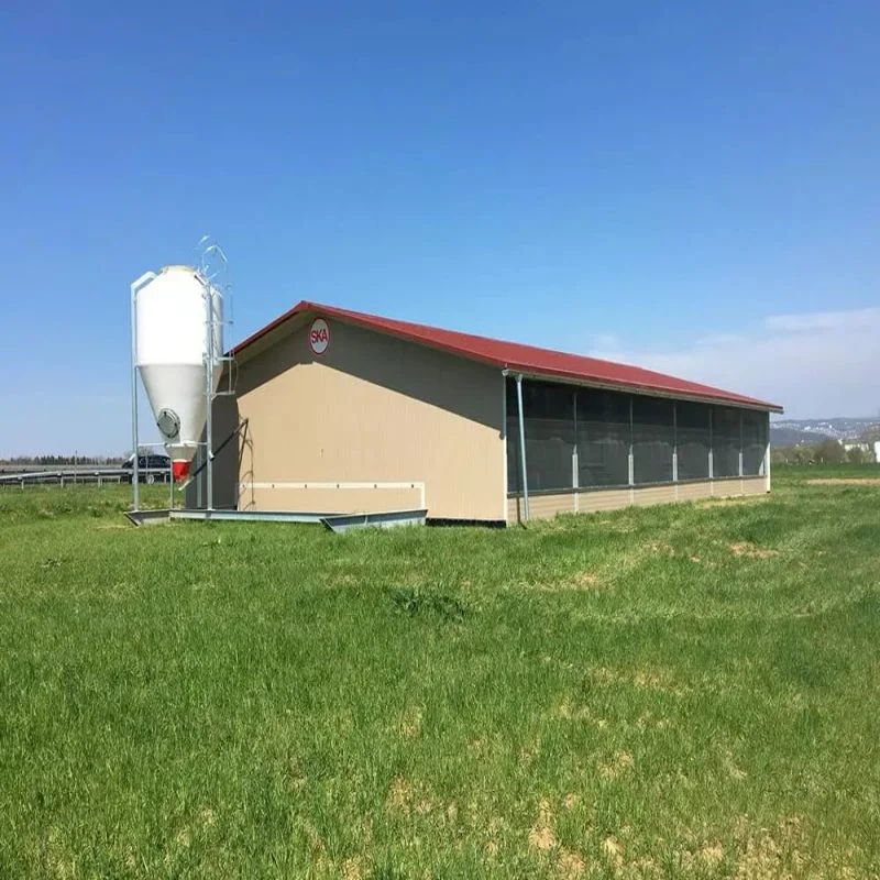 Günstige Vorgefertigte Pre Engineering Stahl Struktur Chicken Farm Geflügel Haus