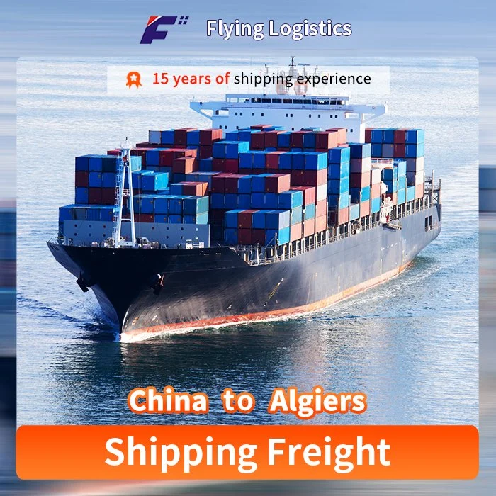 International Sea Freight Shipping Company mit Spediteur, China nach Algier, Algerien