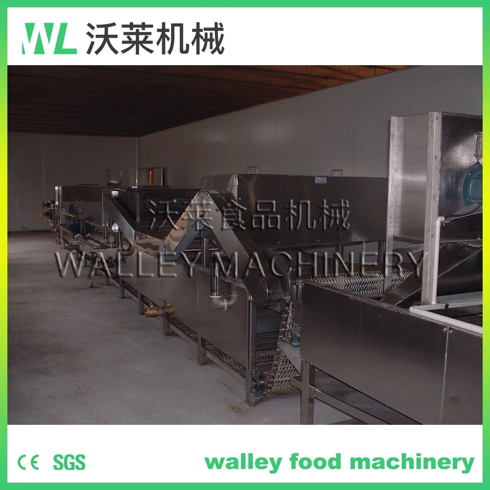 Customizing Vacuum Packed Food Sterilizer