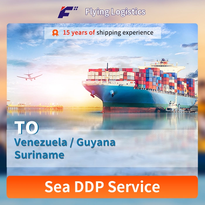 Ocean Freight International Logistics Sea Shipping Agent with Excellent Service From China to Venezuela/Guyana/Suriname