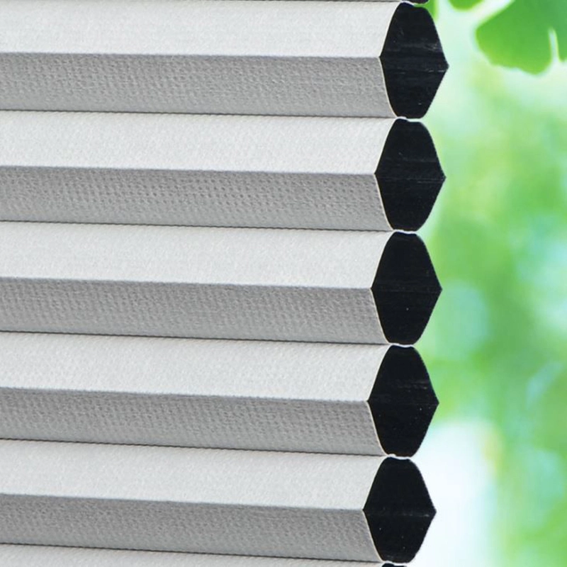 Cellular Honeycomb Blinds Fabric Top-Down Functionality for Easy Light and Privacy Control