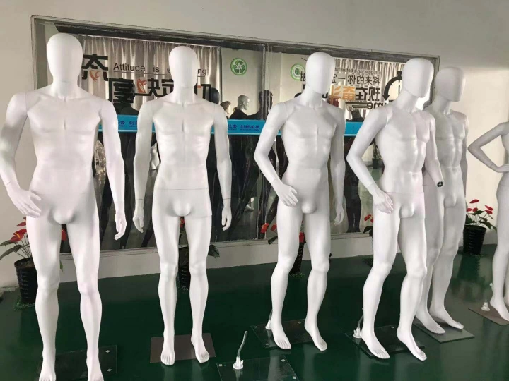 Female Male Dummy Mannequins Bust Leg Upper Mannequins