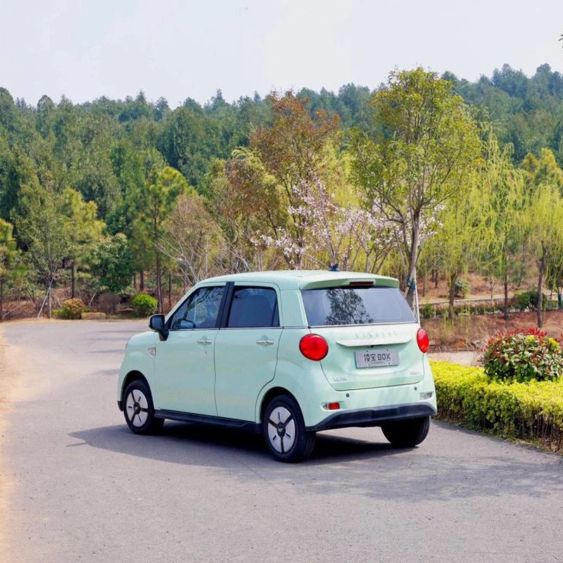 China nueva energía de alta velocidad pura Five-Door Four-Seater Two-Box coche eléctrico