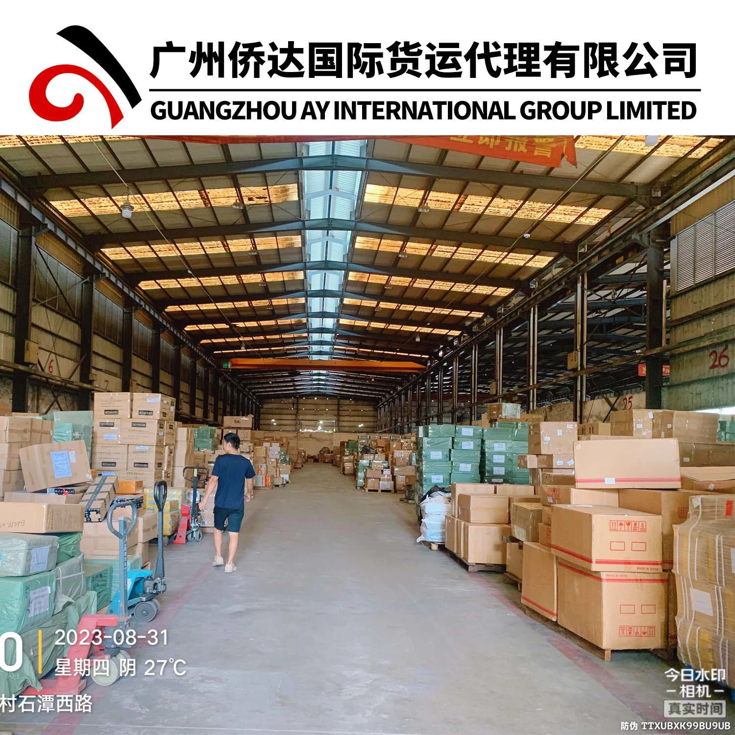 One-Stop FCL/LCL Shipping Company with Cheap Rate From Guangzhou Shenzhen Shanghai Ningbo Qingdao China to Lagos/Tema/Cotonou/Lome/Algiers by Sea