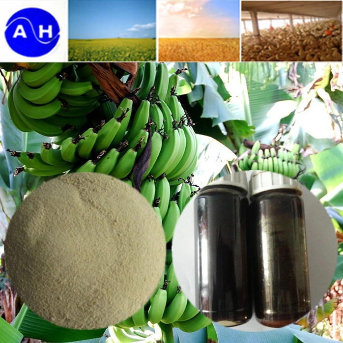 Plant Source Calcium Amino Acid Chelate for Organic Fertilizer