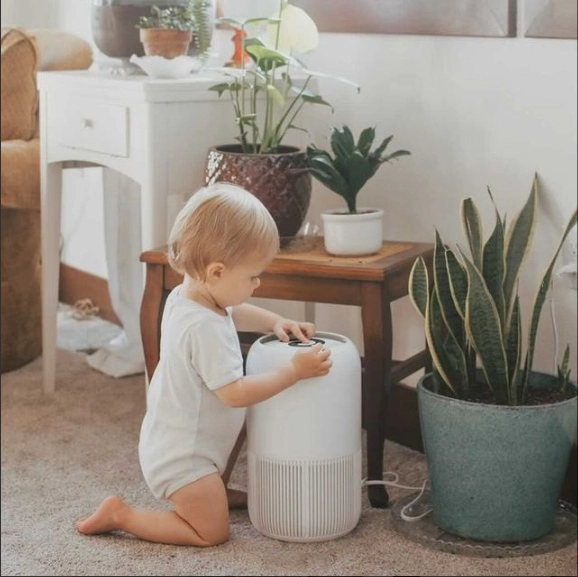 2022 Mei Awarded Sliver Award Winners Household Home Portable Ture HEPA Filter Air Purifier with Child Lock Sleep Mode for Pollen/Pet