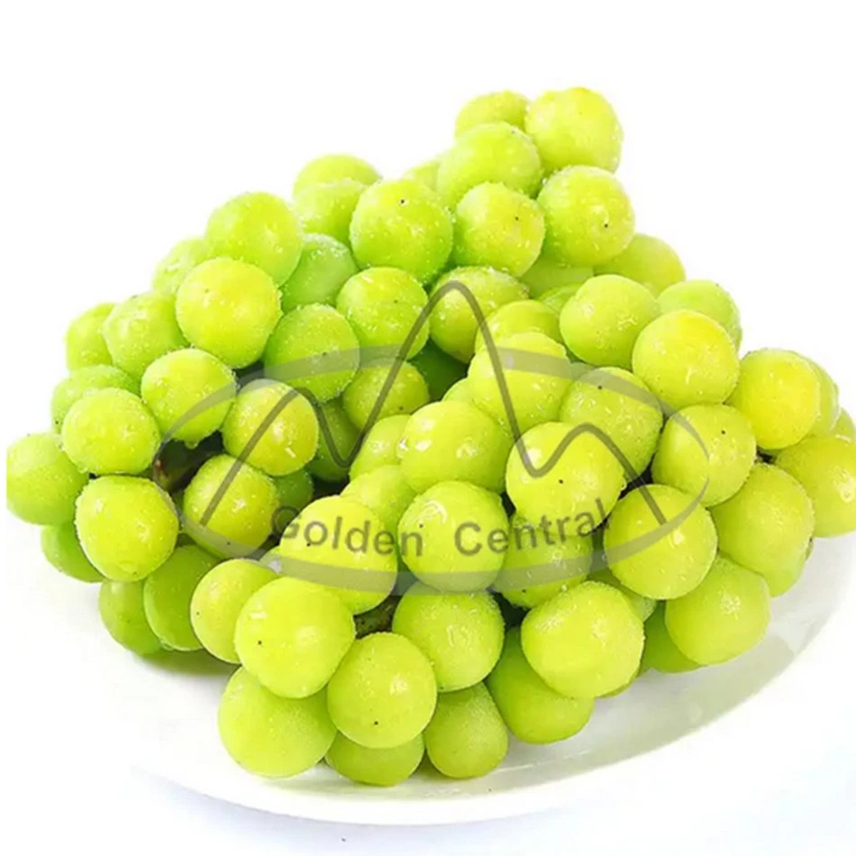 Organic Juicy Sweet Fresh Shine Muscat Grapes Natural Seedless Green Grapes