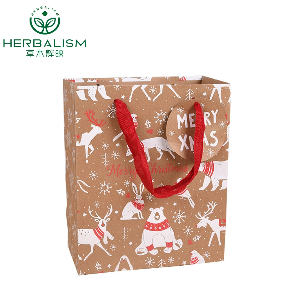 Wholesale Custom Luxury Shopping Gift Tote Carrier Kraft Paper Bag