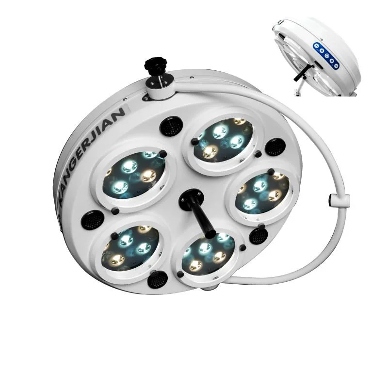 Pet Hospital Shadowless Lamp Operating Surgery Light LED Lamp with Battery