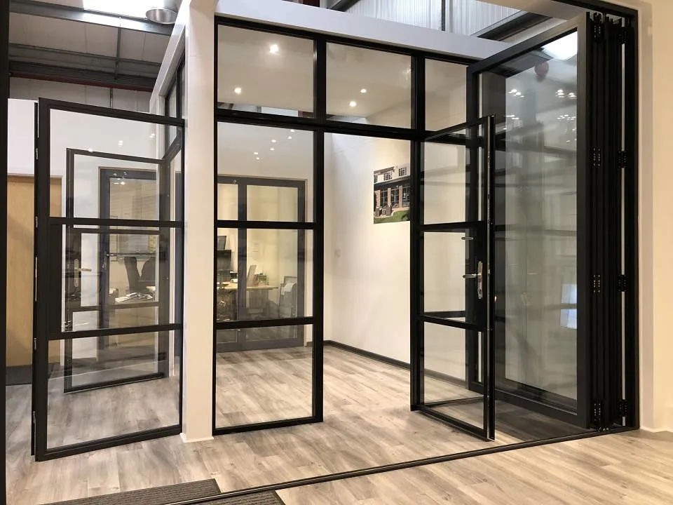 Modern Metal Steel French Outside Pivot Door Steel Glass Door